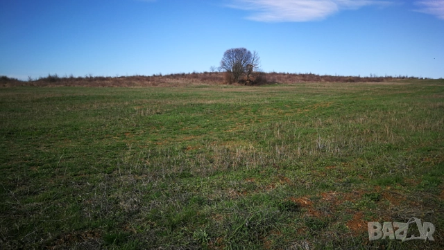 2000 м2 с.Малка Верея Стара Загора, снимка 2 - Парцели - 52670282