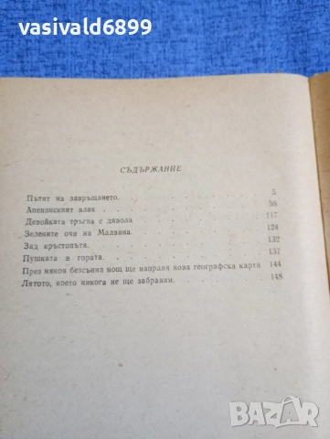 Марчело Вентури - Зелените очи на Малвина , снимка 6 - Художествена литература - 52516184
