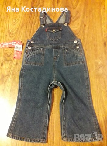 Гащиризон Левис