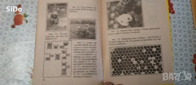  Календарен справочник по Пчеларство+ подарък Наръчник на млад.пчелар , снимка 8 - Специализирана литература - 50217195