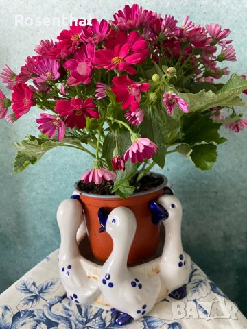 Порцеланова кашпа с гъсоци