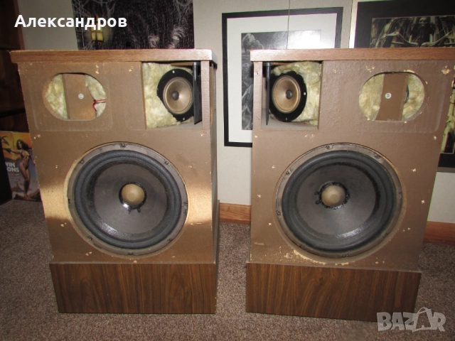 ТОНКОЛОНИ Bose 501