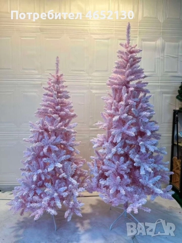 Розова коледна елха 180см-210см