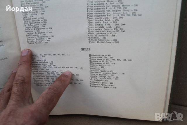 I том ''Българска помология'' 415 страници, снимка 9 - Колекции - 42756030