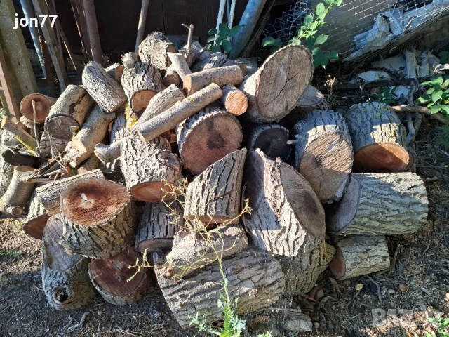 Дърва за огрев, снимка 2 - Дърва за огрев - 51363425