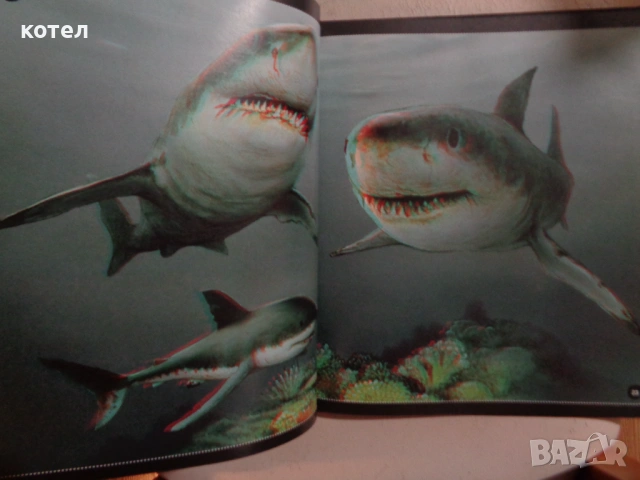 Продавам книгата ; Животните: Триизмерна енциклопедия с 3D илюстрации ., снимка 3 - Енциклопедии, справочници - 53154428