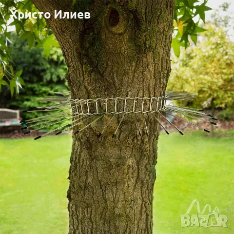 Шипове против котки за градински дървета, снимка 8 - Огради и мрежи - 56253623