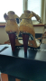 Dolce & Gabbana оригинални дамски сандали, снимка 8