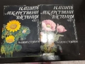Книги Нашите лекарствени растения д-р Нено Стоянов част 1 и 2, снимка 1