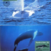 Палау 1983 - 4 броя Карти Максимум - WWF, снимка 2 - Филателия - 38841974