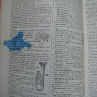  Енциклопедичен речник Larousse, снимка 14 - Енциклопедии, справочници - 40447737