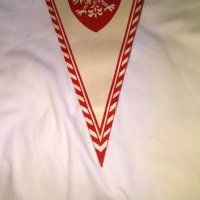 Футболно флагче на Гвардия Варшава 255х150мм, снимка 9 - Футбол - 30072162