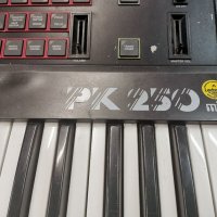 Йоника, синтезатор, клавир Hohner PK 250 midi , снимка 8 - Синтезатори - 31826264