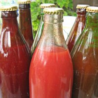 Бирени шишета за сокове, нектари, доматен сок и други, снимка 1 - Буркани, бутилки и капачки - 33815400