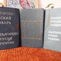 стари речници, снимка 4 - Чуждоезиково обучение, речници - 29647332