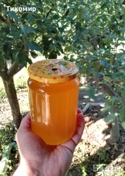 Пчелен мед, Букет реколта 2025 , снимка 1