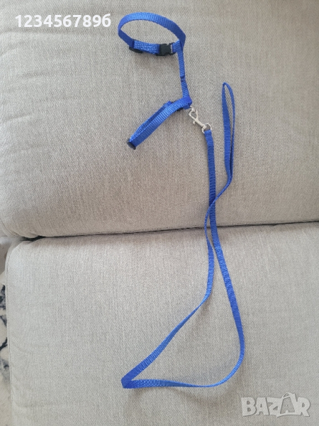 каишка за малко кученце или коте нова, снимка 1