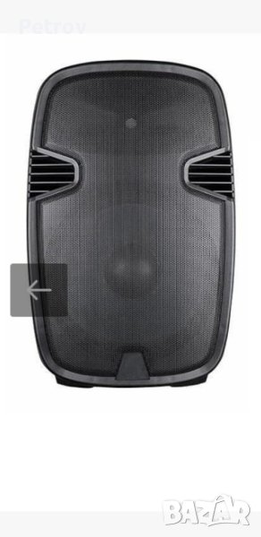 Кароаке тонколона 12 инча , снимка 1