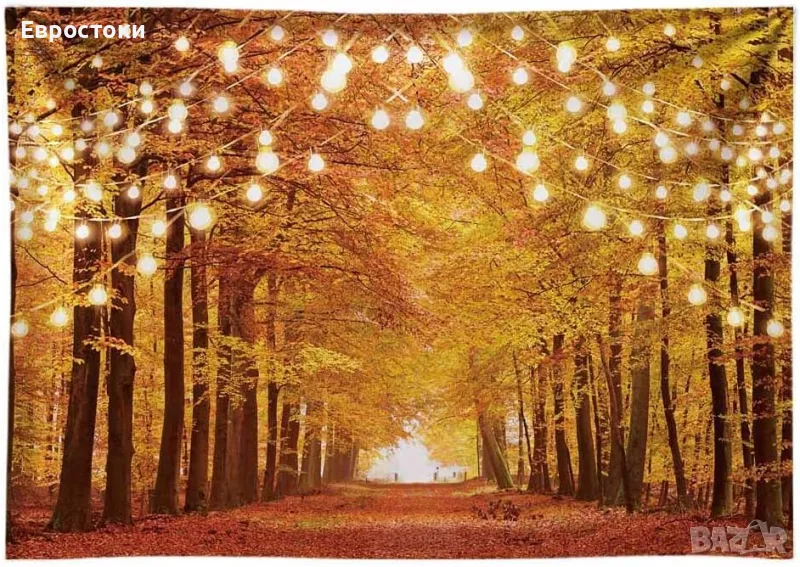 Фотографски фон RUINI "Есенна гора" , винил с висококачествен принт, размер: 210 / 150 см. (7 x 5ft), снимка 1