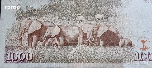 Кения. 1000 шилинга. 2005 година., снимка 2 - Нумизматика и бонистика - 48094216