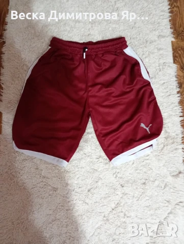 Мъжки къси панталони , снимка 2 - Къси панталони - 50538499