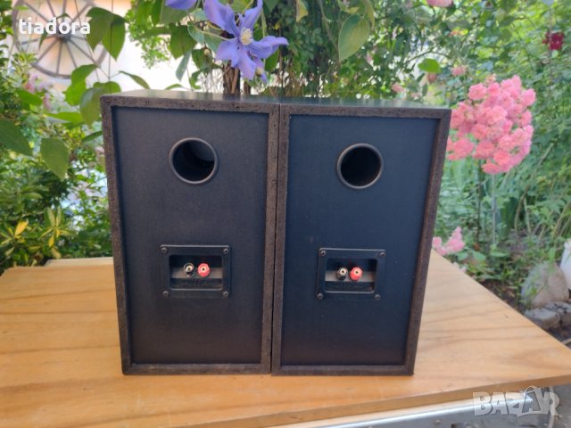 Tannoy Eclipse Gold series, снимка 10 - Тонколони - 37128548