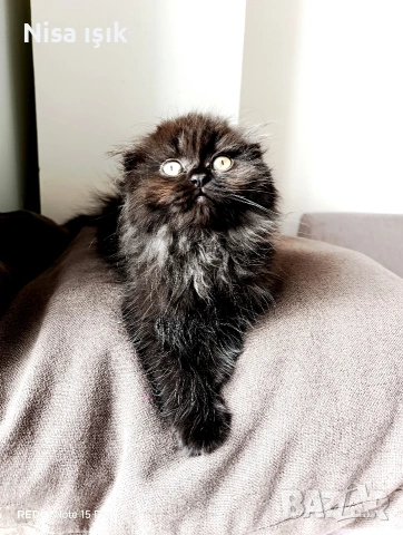 не е красива тя е уникална 