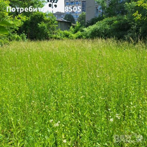 Поддръжка на вашия имот/Вила и парцел , снимка 4 - Други - 50729474