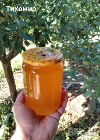 Пчелен мед, Букет реколта 2025 