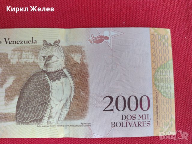 Банкнота ВЕНЕЦУЕЛА ПЕРФЕКТНА МНОГО КРАСИВА СТИЛНА ЕКЗОТИЧНА ЗА КОЛЕКЦИЯ ДЕКОРАЦИЯ 27429, снимка 7 - Нумизматика и бонистика - 36698250