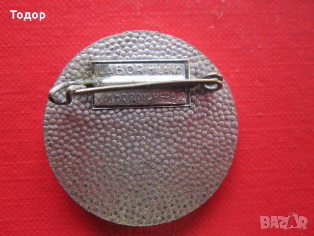 Уникален алпийски голям знак значка Лабор емайл, снимка 4 - Колекции - 29421749