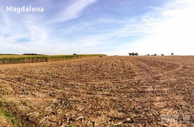 Продава Земеделска земя