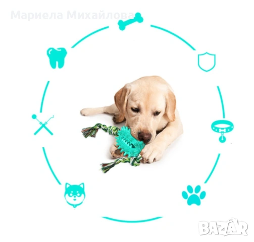 Играчка кактус – четка за зъби за домашни любимци!, снимка 7 - За кучета - 53247280