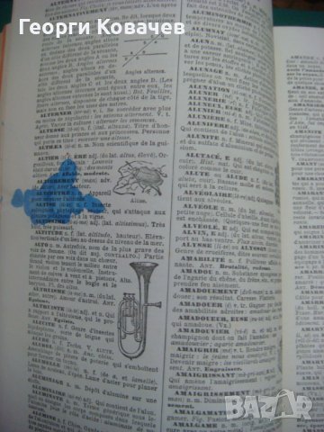  Енциклопедичен речник Larousse, снимка 14 - Енциклопедии, справочници - 40447737
