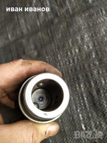 Съчмен дорник, снимка 2 - Стругове - 30646886