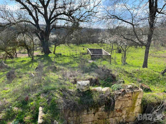Имот в село Побит камък община Разград , снимка 3 - Къщи - 54159937