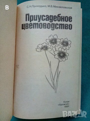 Приусадебное цветоводство , снимка 2 - Други - 50392432
