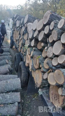 Дърва за огрев , снимка 10 - Складови работници - 33421505