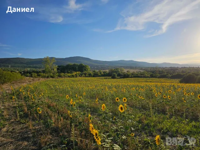 Парцел село Нови Хан 8232 кв.м., снимка 5 - Парцели - 47520508