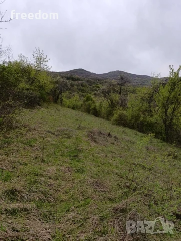 Земеделска земя, снимка 3 - Земеделска земя - 50453434