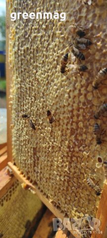 От Производителя Натурален Пчелен Мед , Сурови ядки Лешник и Бадем,Натурални Тахани с Мед,Крем мед, снимка 7 - Пчелни продукти - 23435230