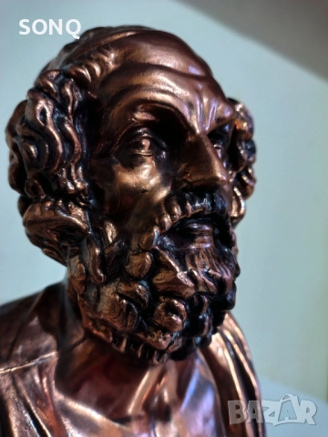 Страхотен Бронзов Бюст На Омир, снимка 9 - Антикварни и старинни предмети - 52634358