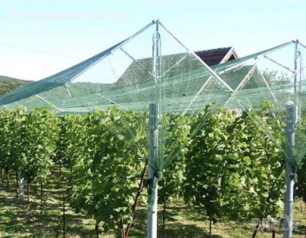 Мрежа против градушка и за засенчване - Защита и Комфорт в Земеделието!, снимка 6 - Оранжерии - 50817746