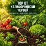 🪱 ТОР ОТ КАЛИФОРНИЙСКИ ЧЕРВЕЙ – биохумус, тор от калифорнийски червей, вермикомпост, органичен тор, снимка 1