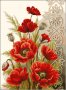 гоблен "МАКОВЕ" Д46 - размери 33*44 см,; 24 цвята; , снимка 2