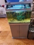 продавам аквариум , снимка 2