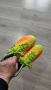 Nike Magista. Футболни бутонки. 36.5, снимка 2