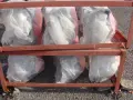Косачка дискова 1.00 м, снимка 3