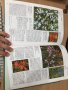 Енциклопедия A-Z of Annuals, Biennials & Bulbs (Successful Gardening), снимка 12