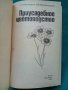 Приусадебное цветоводство , снимка 2